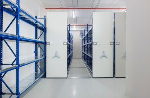 קומפקטוס למשקל בינוני