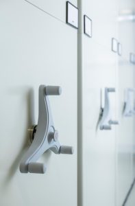 קומפקטוס למשקל בינוני